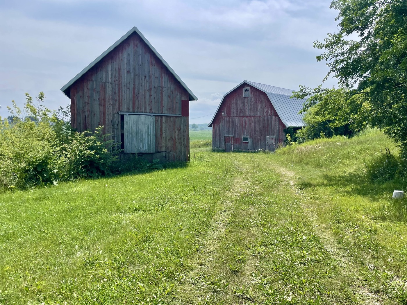 Shed and Livestock barn Cold Noses Sanctuary Buildings