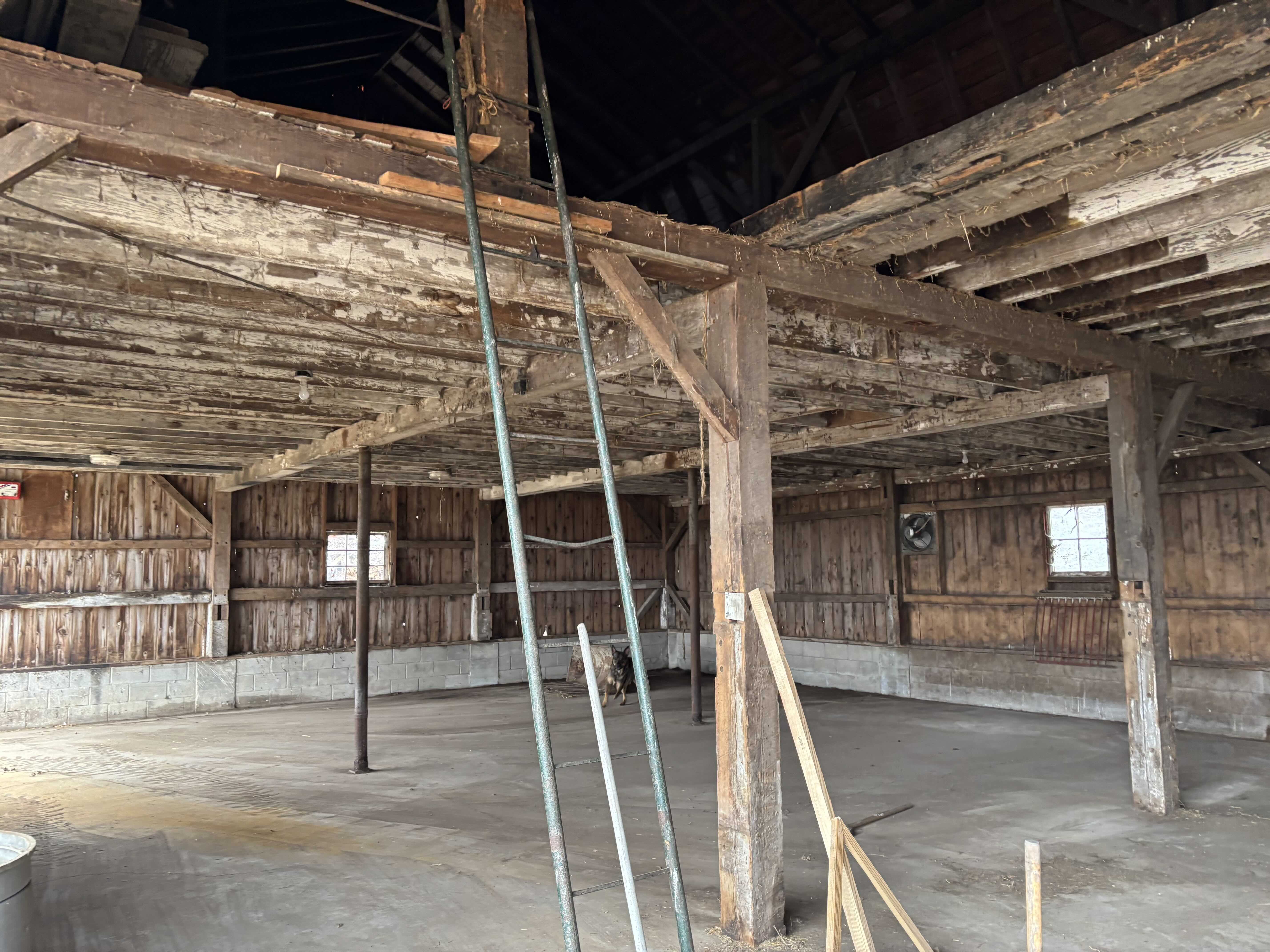 interior barn demo phase 1