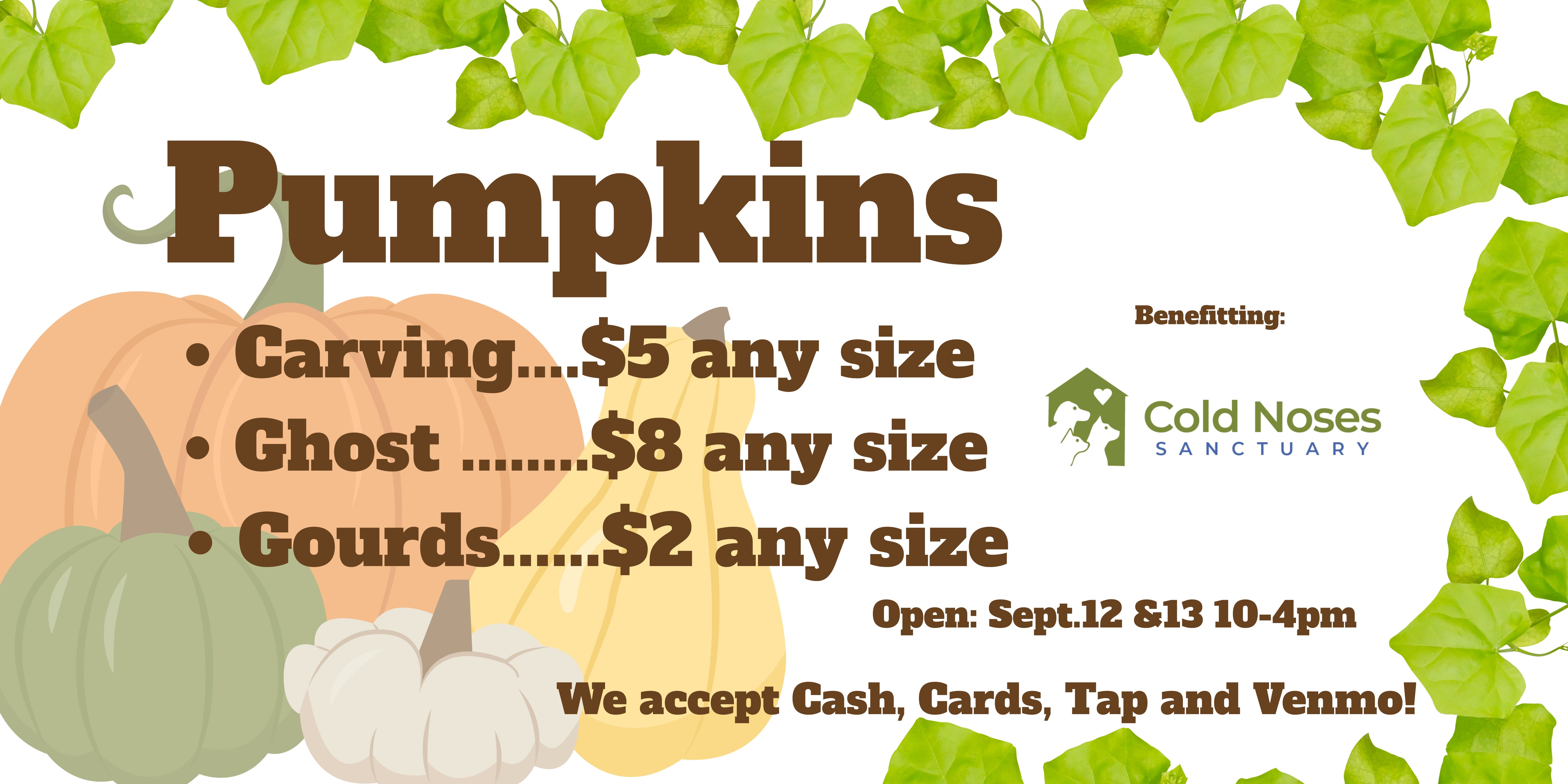 Pumplins for sale!