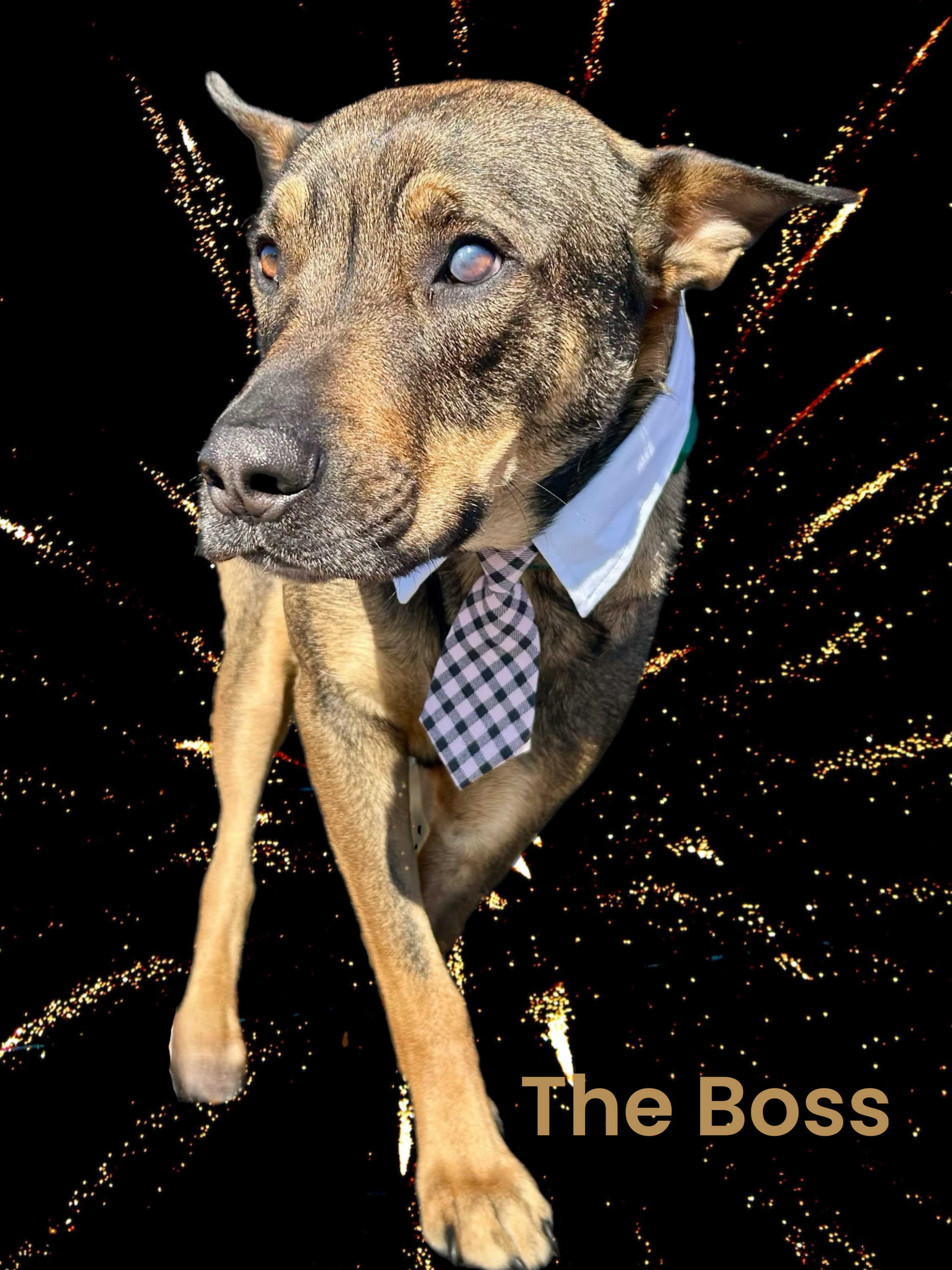 Boss Bowser