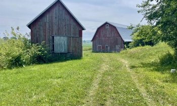 Shed and Livestock barn Cold Noses Sanctuary Buildings