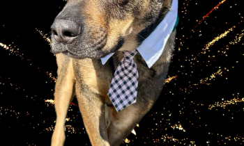 Boss Bowser
