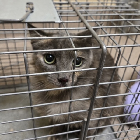 Lunchbox- Adoption picture