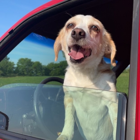 Malorie enjoying a car ride!