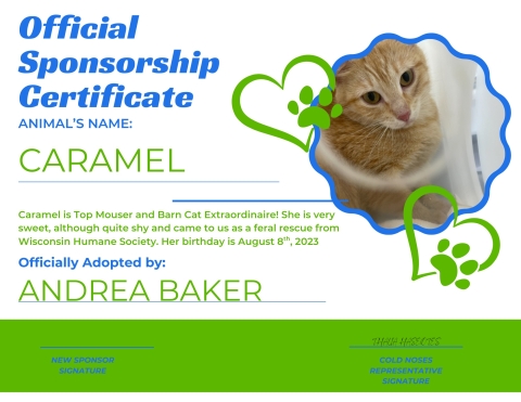 CNS Adoption Certificate